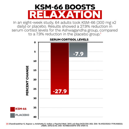 KSM-66 Ashwagandha, 300 mg, 90 Capsules